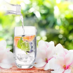 Elegante Trinkgläser 360ml (max. 440ml) Set 6 Teilig Wassergläser Saftgläser -Küche Zu Hause 3ab6e74bac8d7ce7c2d15e65781211aa