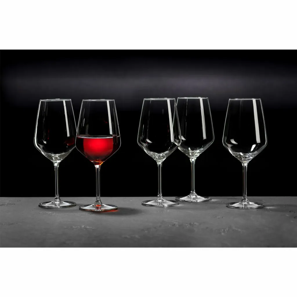 Burgunder 530ml 6er Set Flamenco 4 Burgunder 530ml 6er Set Flamenco – Bild 4